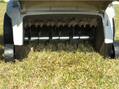 Plush Lawn Aeration
