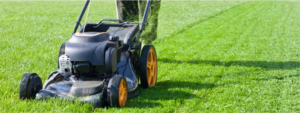 Plush Lawn Mowing